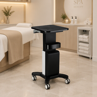 Chariot de Salon de Beauté Portable Amélioré à 4 Niveaux avec Éclairage d'Appoint pour Services Professionnels Multi-Scénarios