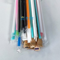 Couleurs personnalisées 6MM pailles jetables en PLA pour fête thé à bulles lisse Boba Smoothie Milkshake