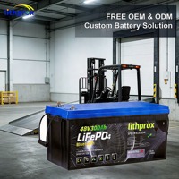 Batería de energía para montacargas de 48V 300AH, grado A, LiFePO4, baja autodescarga, para transpaleta eléctrica, UL CE RoHS MSDS OEM ODM, venta al por mayor