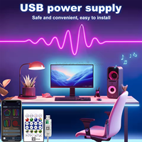 Kit de bande LED néon RGBIC intelligente - 5V USB, étanche, synchronisation musicale, contrôle vocal et par application, lumière flexible pour la décoration DIY de la maison/les fêtes