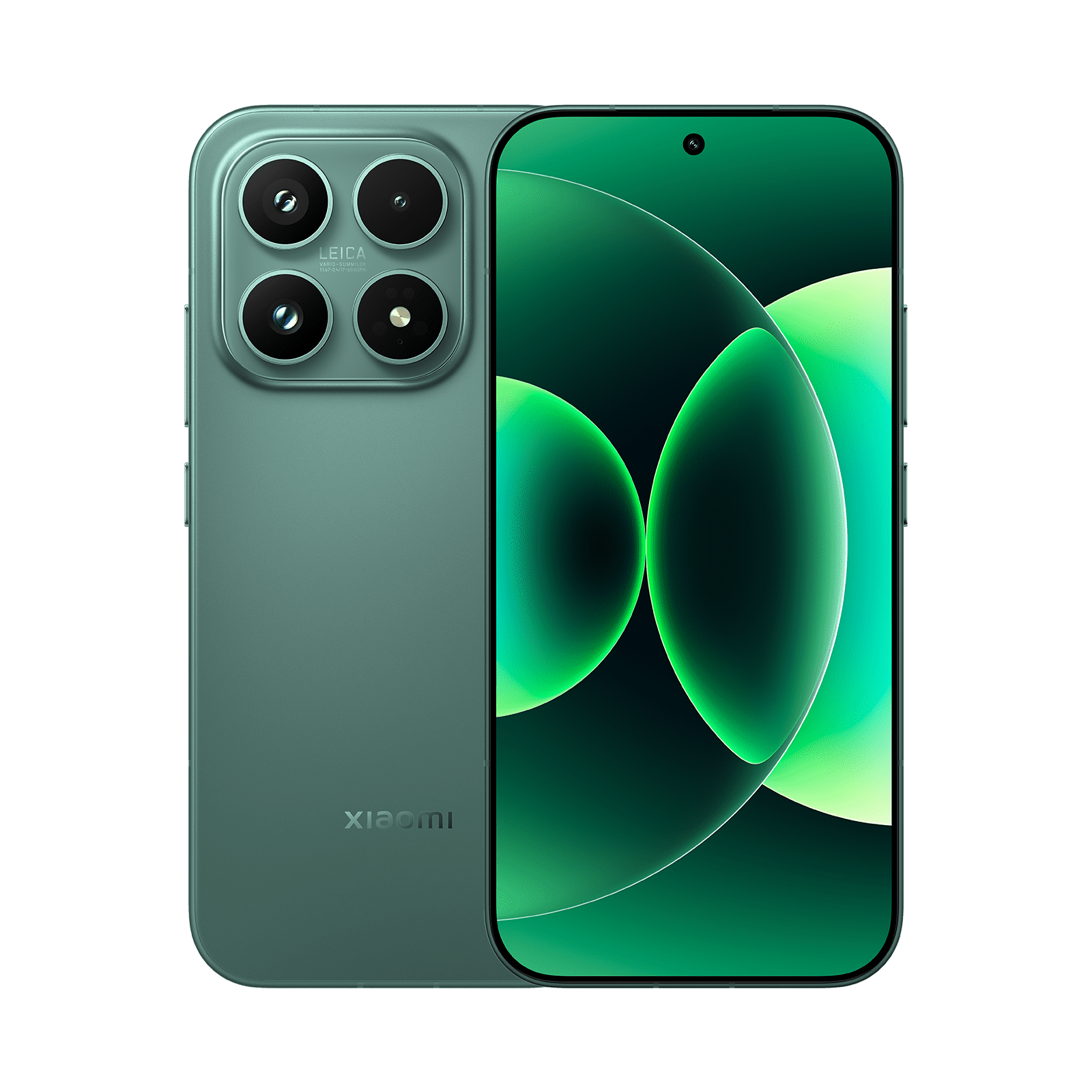 Avventura verde