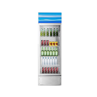 Réfrigérateur vertical pour magasin commercial, vitrine de congélation, réfrigérateur pour boissons fraîches