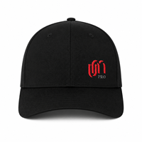 Casquette de baseball unisexe en coton 100% avec broderie 2D motif léopard, visière incurvée, réglable, pour usage quotidien et décontracté en extérieur