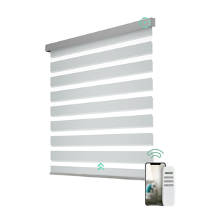 Electric Motorized Indoor Blinds Zebra <b>Shades</b> Light Filtering Plain Technique Smart WiFi Voice Control Built-in Anti-UV Durable - Product Image 1
