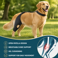 Orthèse réglable pour genou de chien ACL, support rotulien creux antidérapant pour la rééducation des pattes arrière, OEM ODM, approvisionnement en gros