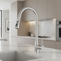 Robinet de cuisine moderne à poignée unique en acier inoxydable, cartouche céramique, installation monotrou, douchette extractible – Meilleures ventes