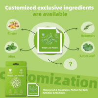 Patch Minceur Hydrogel en Gros d'Usine, à Base de Plantes Naturelles, Transdermique, pour le Remodelage Corporel et la Gestion du Poids, Anti-Ronflement, Certifié CE