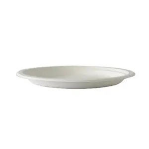 Cheap price Composable Biodegradable Sugarcane bagasse paper plate disposable take away 10 inch plates for party