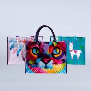 Foldable pp Non <b>Woven</b> Laminated Non <b>Woven</b> Shopping <b>Bags</b> - Product Image 6