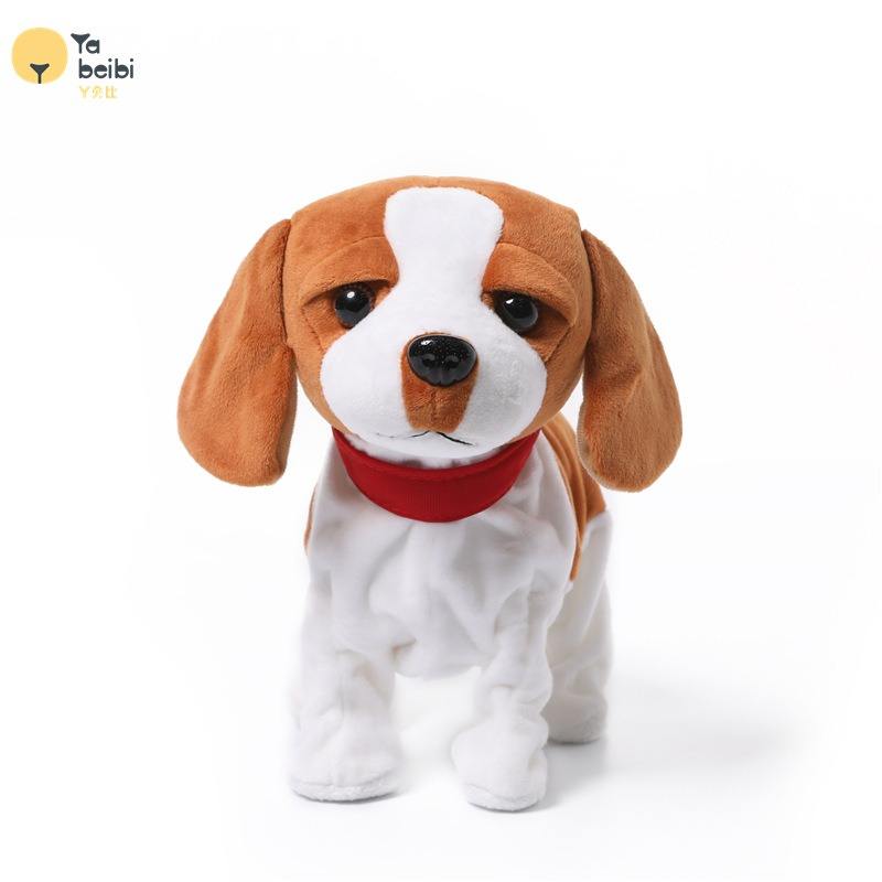 ปักกิ่ง