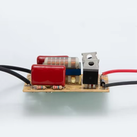 Lampe anti-moustique Carte haute tension Carte de circuit 12V DC4000V Carte de commande de circuit de lampe Pilote haute tension