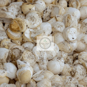 Cup Lump Rubber de Vietnam, calidad de exportación para la fabricación de neumáticos - Product Image 1