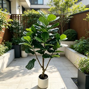 Artificial <b>Tree</b> Green <b>Potted</b> with Piano Leaf Banyan Ornaments for Living Room Floor Simulation - Product Image 4