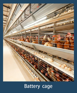 Système <span class=keywords><strong>de</strong></span> cages automatiques en H pour poules pondeuses, en acier galvanisé, élevage haute densité, optimisation <span class=keywords><strong>de</strong></span> l'espace, garantie 1 an - Product Image 5