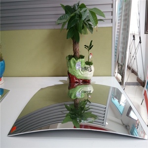 Tấm Gương Lồi 1.8Mm - Product Image 5