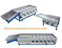 Professionele tomaten sorteermachine trommelreinigings- en sorteermachine automatische fruit- en groentesorteermachine