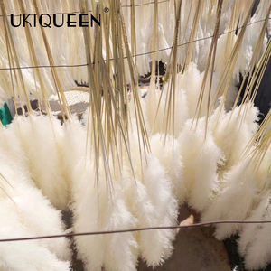 Pampas Grandes, Esponjosas, Pequeñas, Beige, Decoración para el Hogar y Bodas, 45-120 cm, Flores Secas Artificiales Naturales, Hierba de Pampas - Product Image 3