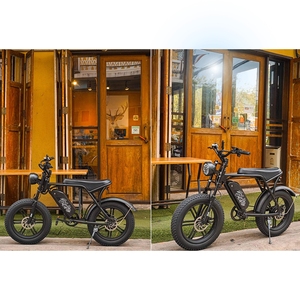 Vélo Hybride pour Adulte, <span class=keywords><strong>20</strong></span> <span class=keywords><strong>Pouces</strong></span>, Gros Pneu, 500/750/48V, Acier, Amovible, pour Adulte - Product Image 5
