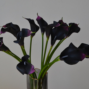 Y-H005 Chất Lượng Cao Bất Động Cảm Ứng EVA <span class=keywords><strong>Calla</strong></span> <span class=keywords><strong>Lily</strong></span> Nhân Tạo Hoa Trắng <span class=keywords><strong>Calla</strong></span> <span class=keywords><strong>Lily</strong></span> Cho Đám Cưới Đảng Trang Trí Nội Thất - Product Image 5