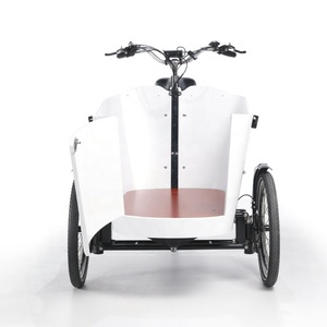 <span class=keywords><strong>Velomobile</strong></span> Trike Electric Cargo Bike 250W motor triciclos eléctricos con puerta - Product Image 3