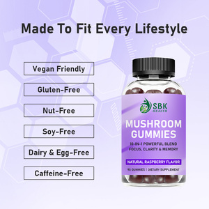High Quality Mushroom Gummies Sodium Support Mentalclarity Boost Memory Focus Mushroom Vegan Friendly Gummies - Product Image 6