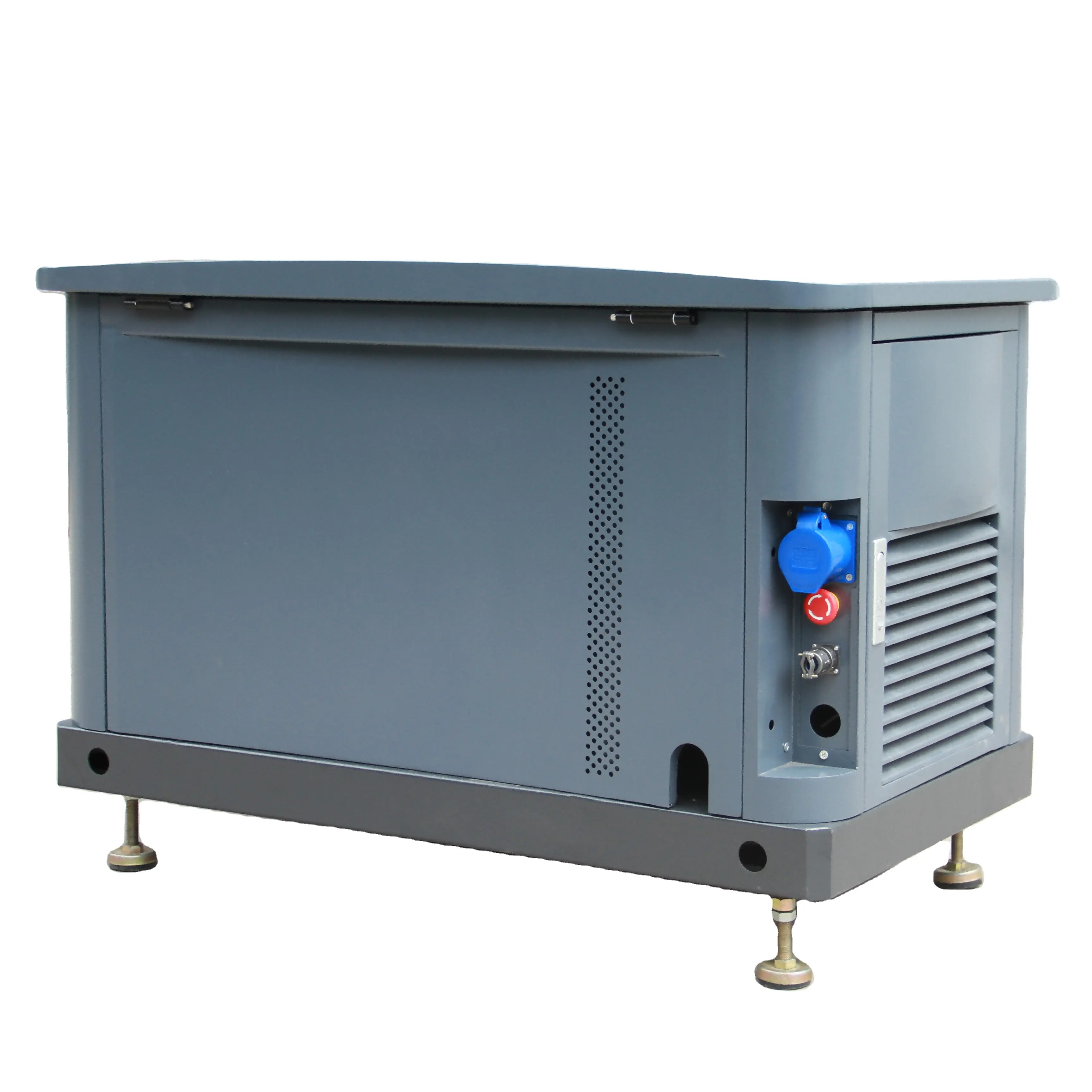 10kw Silent Standby Natural Gas LPG Generator 9kw 11kva 12kva Small Gas Generators for Sale