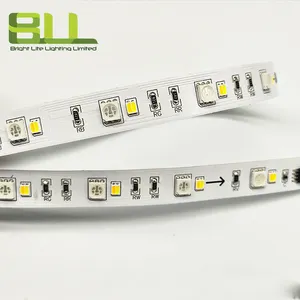 RGBWW 36leds/m SMD5050 And SMD2835 24V Addressable Led Strip Light For Theme Park Decoration