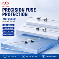 Fusible en verre XC FUSE 3F 3.6x10mm 250mA-10A 125V/250V AC/DC à action rapide, à travers trou, AC/DC pour VDE CB KC PSE pour alimentation électrique