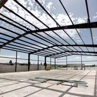 Proveedor de Edificios Industriales, Taller de Estructuras Metálicas/Almacén de Estructuras Metálicas, Fabricante de Estructuras Metálicas en China