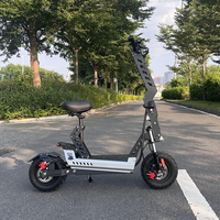 Scooter électrique pour femmes, filles et hommes, mode 13 pouces, double moteur, câble entièrement étanche, batterie au lithium 60V 35AH, 80-100 km/h, OEM ODM