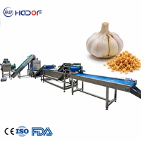 Automatische productielijn voor gefrituurde knoflookvlokken, inclusief snijden, frituren, ontvetten, kruiden en verpakken.
