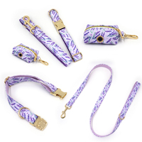 Ensemble collier et laisse pour chien imprimé avec porte-sac à déjections, kit de collier réglable pour toutes les races de chiens, logo et motif personnalisés acceptés