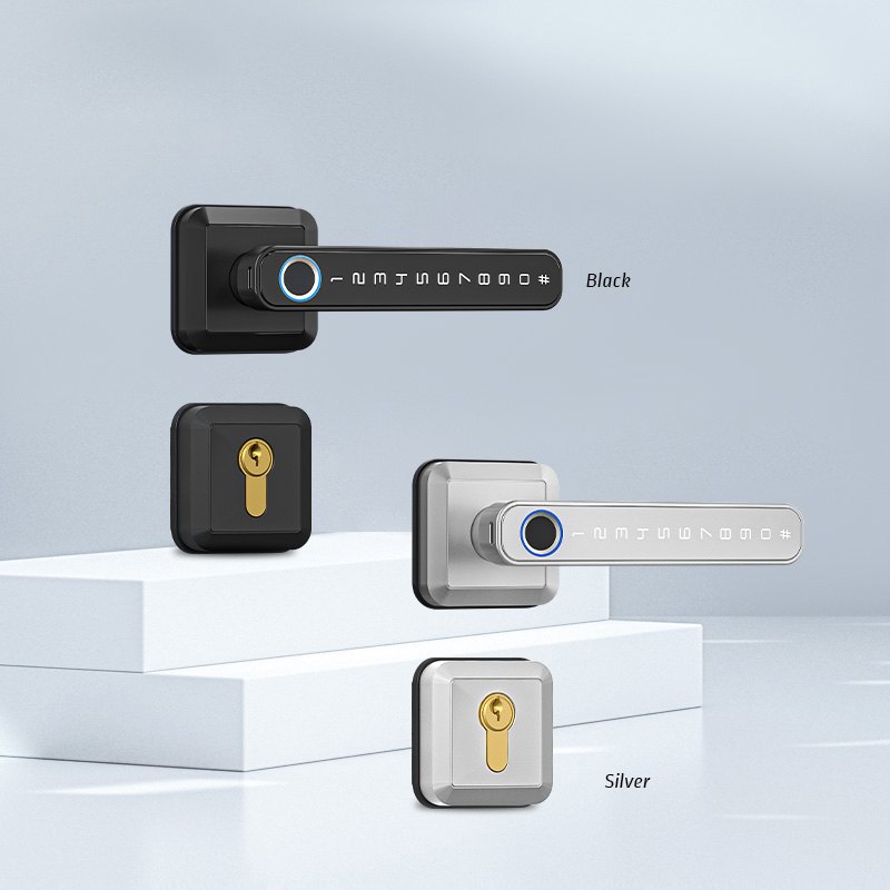 Eseye Keyless Entry Smart Door Lock