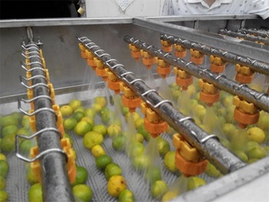 Máquina limpiadora totalmente automática de verduras y frutas, patatas, cebollas, zanahorias, de alta <span class=keywords><strong>calidad</strong></span> - Product Image 5