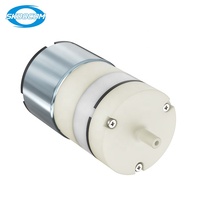 Personnalisable 3L Mini pompe à diaphragme électrique OEM Compresseur d'air pour appareils de beauté