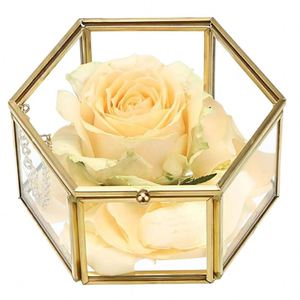 Caja de Joyería Hexagonal de Vidrio con Tapa, Estuche Transparente para Guardar Collares, Pulseras, Anillos y Pendientes, Marco Metálico Dorado, Caja de Recuerdos - Product Image 1