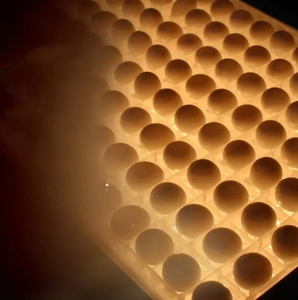 Hot Sale Chicken Egg Fertility Tester Fruchtbarer Eier detektor für die Hühner zucht und das Schlüpfen - Product Image 6