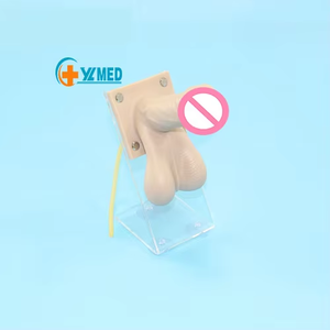 Medizinisches Lehrmodell für Familienplanung, Studenten, Ärzte, Lehrer, Ausbildung, Männliches Kondom, Praxis, Anatomisch - Product Image 1