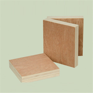Contrachapado de Grado MR/<span class=keywords><strong>BWR</strong></span>/BWP, Contrachapado de Bintangor - Product Image 5