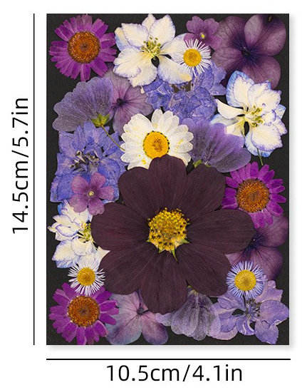 MH712 Violet 23 pièces