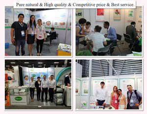 Supplément de poudre d'extrait d'onagre végétale à base de plantes traditionnelles - Product Image 5