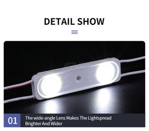 Injection <b>LED</b> Module IP65 IP67 12V 2835SMD 1.5W 2LEDs for Commercial Backlit Sign Projects - Product Image 5