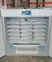 Produit automatique de haute efficacité d'incubateur d'oeufs de poussins nouveau-nés de 5280 pour les poulets à couver