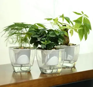 Macetero automático de plástico transparente, maceta de flores cuadrada, para todas las plantas suculentas, hierbas, violetas <span class=keywords><strong>africanas</strong></span> - Product Image 1