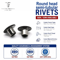 TianFang Prix avantageux Livraison rapide Rivets semi-tubulaires à tête ronde en acier inoxydable 304 avec peinture noire pour fixations de chaises
