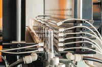 Machine de soufflage de bouteilles PET entièrement automatique à 6 cavités Préforme gonflable Concurrentiel Delta Airtac Noyau d'ampoules en plastique