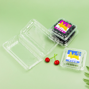 Plastic Box Disposable Plastic Clear Clamshell Box For Supermarket Fruit Packing Box With Holes On Top And Bottom