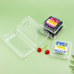 Factory Sell Like Hot Cakes Disposable Perforated Fruit Breathable Plastic Packaging Container PET Flip