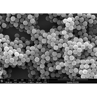 Perles magnétiques époxydiques pour la conjugaison biomoléculaire – Support magnétique haute performance pour la couplage des protéines et la recherche clinique