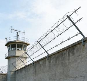 Grillage soudé galvanisé en fil de fer de calibre 12 (3 mm) avec revêtement PVC par trempage à chaud, à mailles carrées, pour cages - Product Image 5